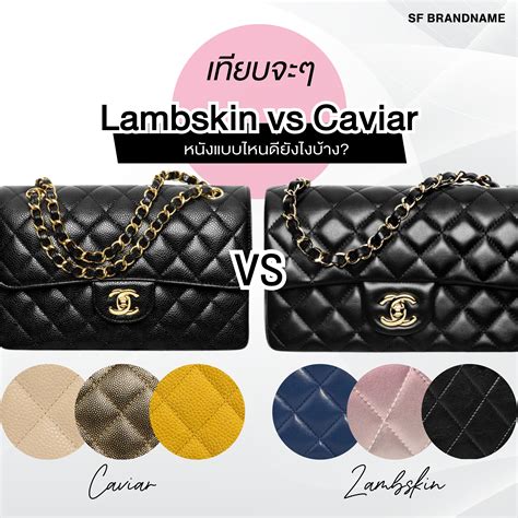 chanel lambskin or caviar|Chanel Caviar vs Lambskin Leather: Wh.